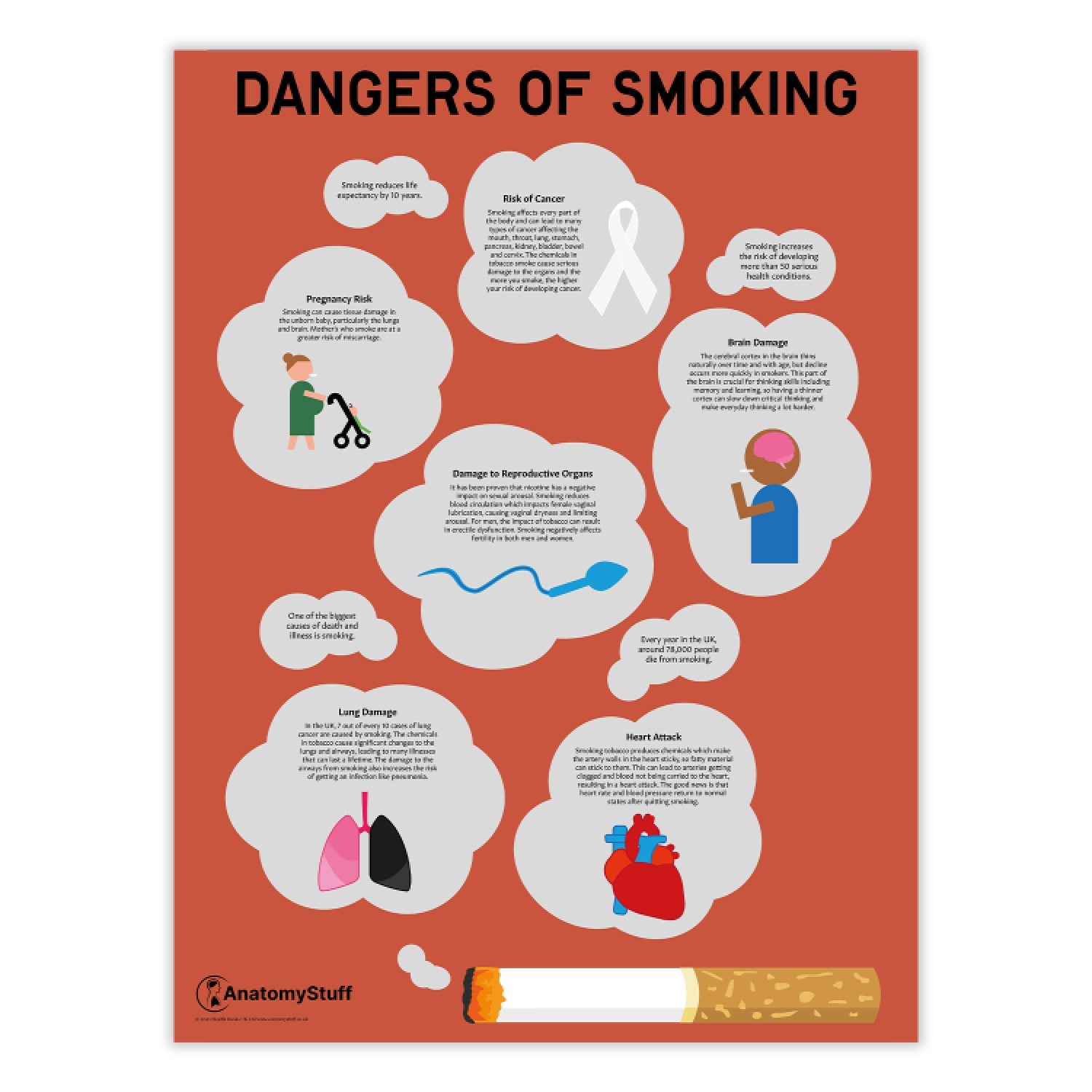 Dangers of Smoking Poster | Tobacco Cigarette Health Risks – AnatomyStuff