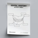 Switch Dental Anatomy Activity Sheet PDF 2 image