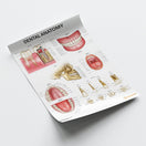 Switch Dental Anatomy Chart / Poster 3 image