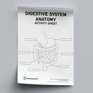 Switch Digestive System Anatomy Activity Sheet PDF 2 image