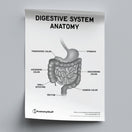 Switch Digestive System Anatomy Poster PDF 2 image