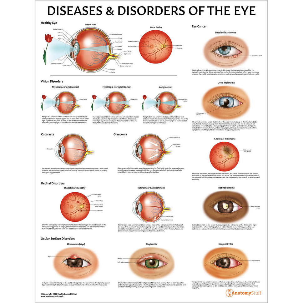 Eye Anatomy & Pathology Collection