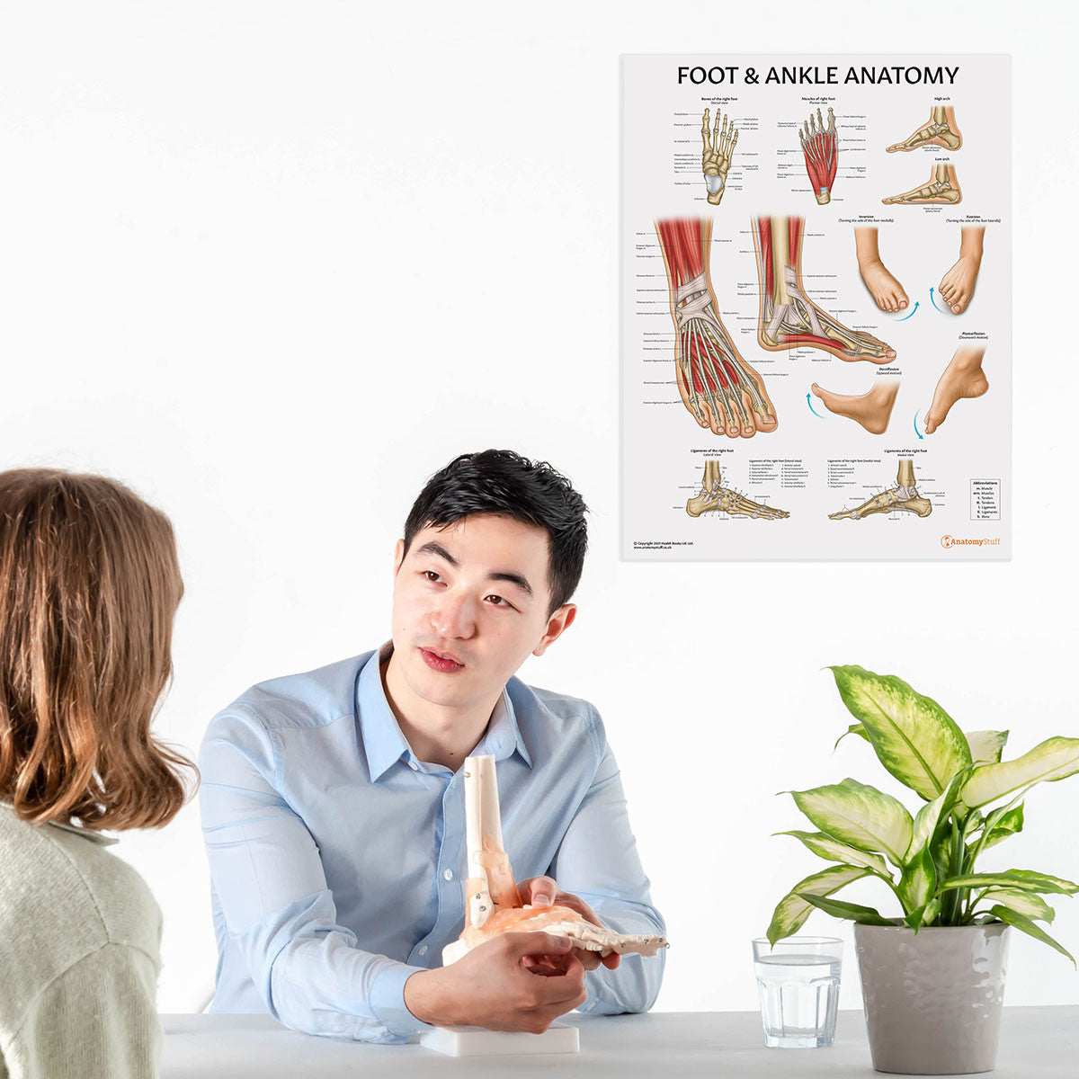 Poster Anatomico Piede E Caviglia – 50,8 X 66 Cm – Carta – Illustrazione Medica Dettagliata