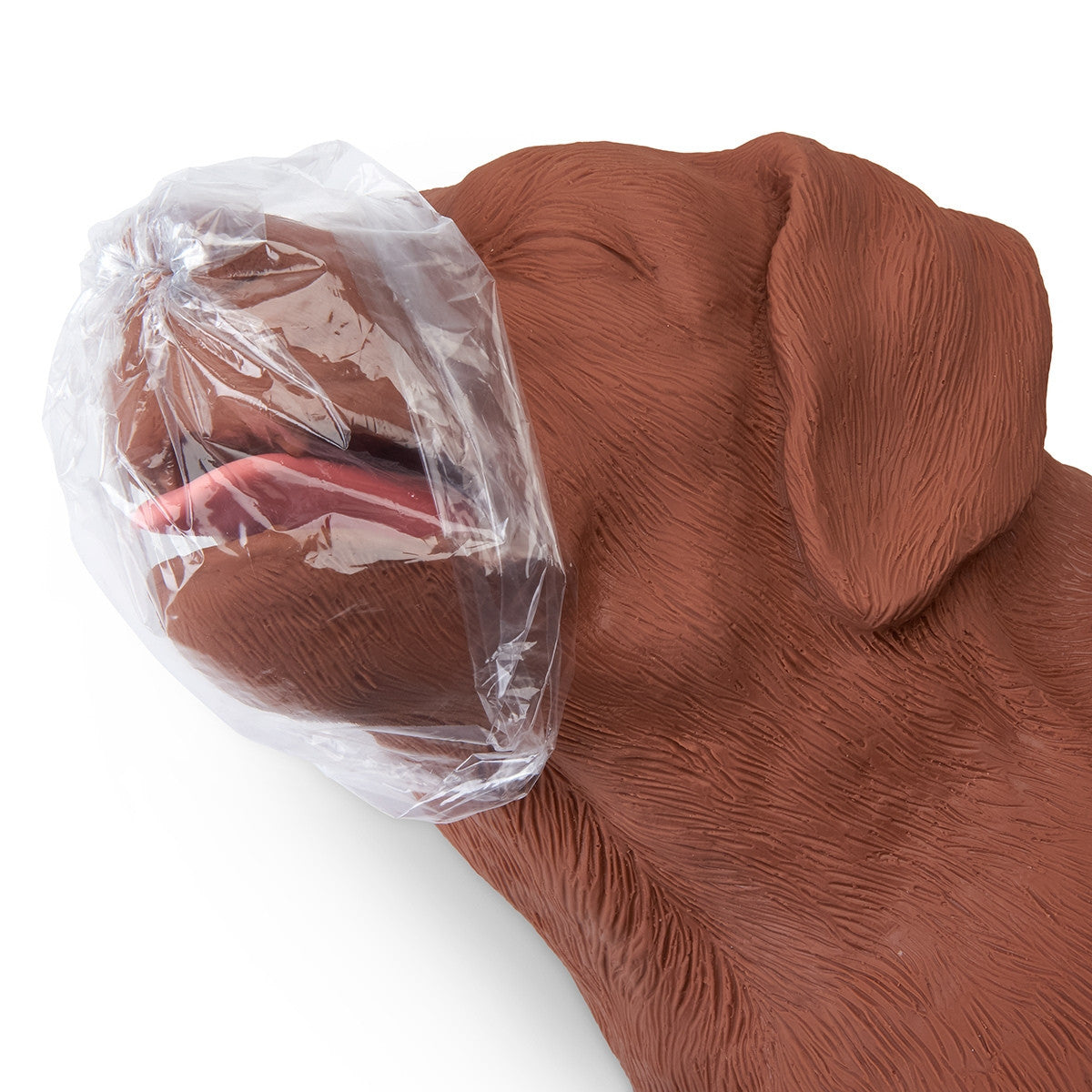 Canine CPR Manikin Casper