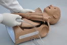 Switch Easily Accessible Chest Cavity &amp; Organs 3 image
