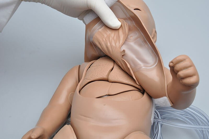 SUSIE and SIMON Newborn CPR and Trauma Care Simulator with Intraosseous Access