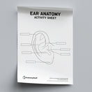 Switch Ear Anatomy Activity Sheet PDF 2 image