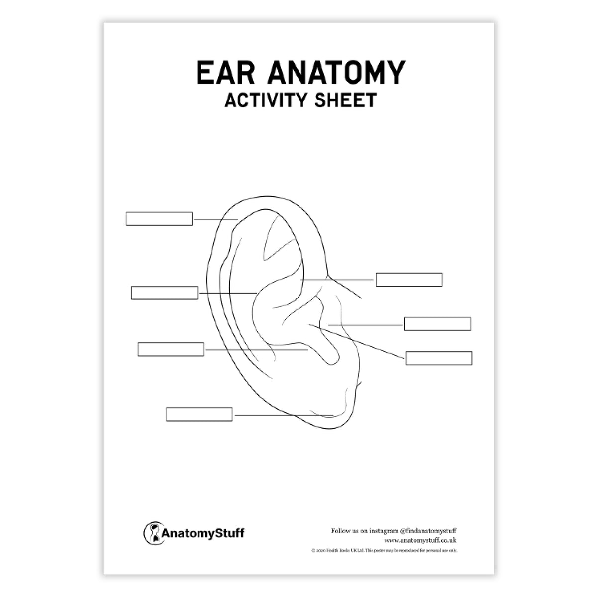 Ear Anatomy Activity Sheet PDF – AnatomyStuff