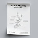Switch Elbow Anatomy Activity Sheet PDF 2 image