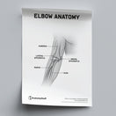 Switch Elbow Anatomy Poster PDF 2 image