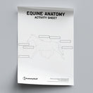 Switch Equine Anatomy Activity Sheet PDF 2 image