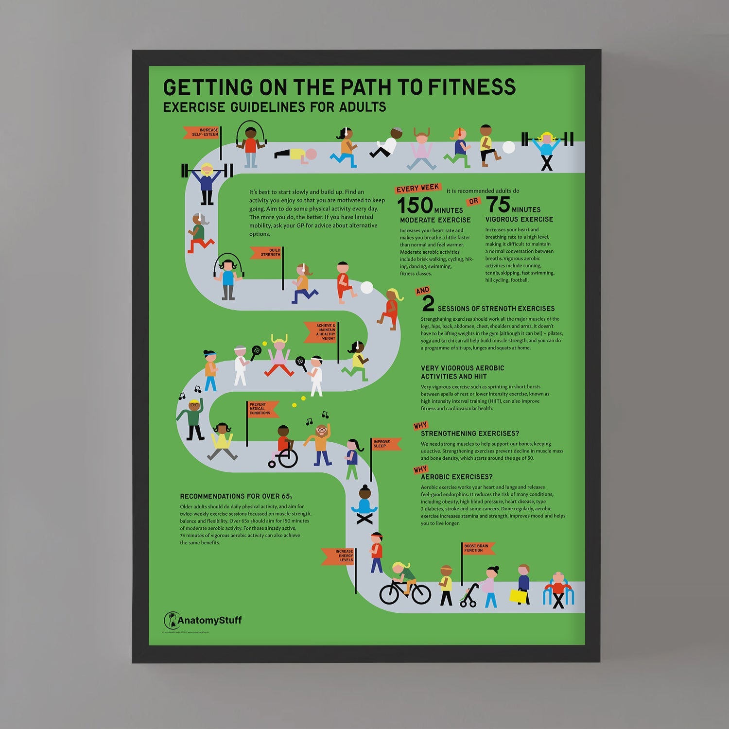 Exercise Guidelines for Adults Poster | Fitness Posters – AnatomyStuff