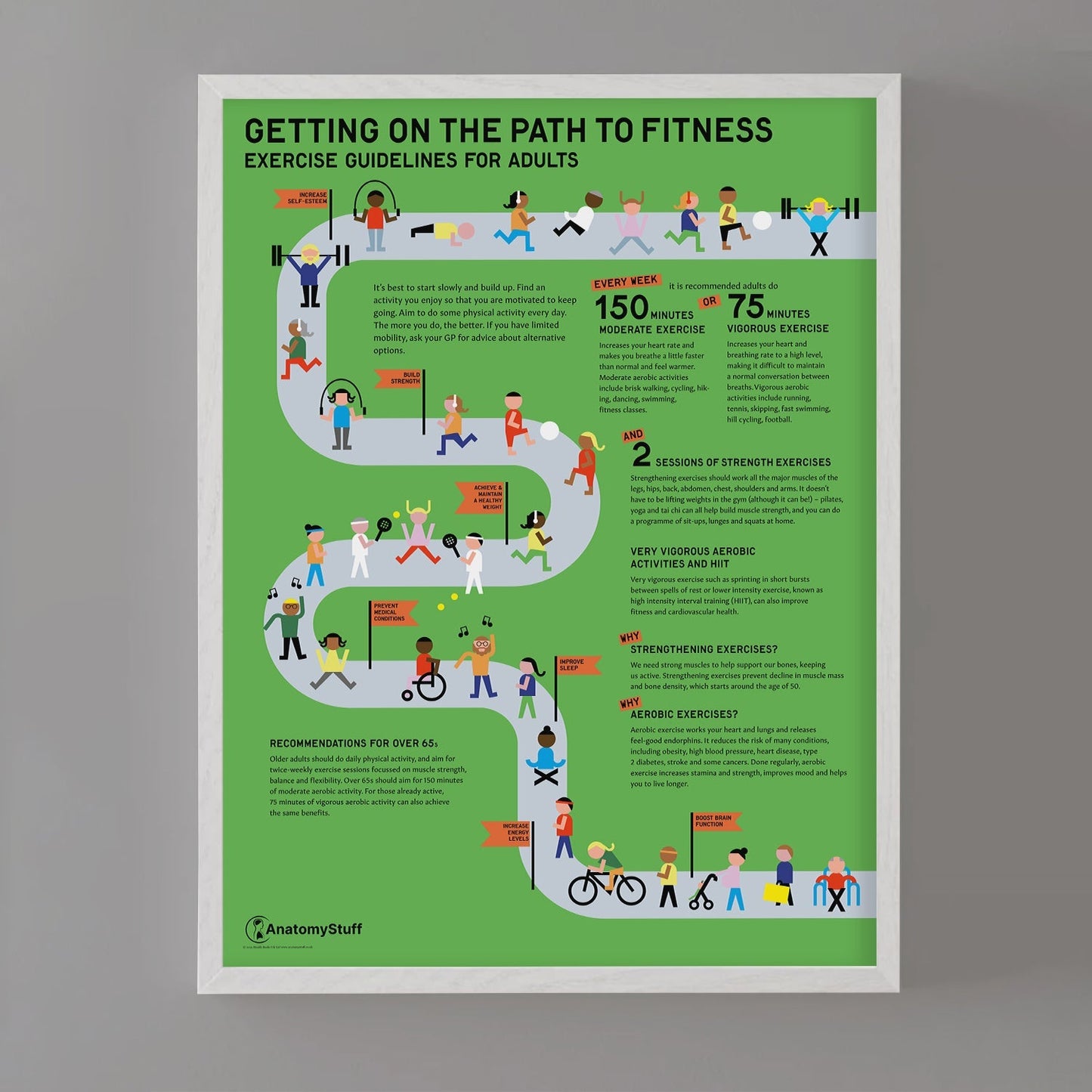 Exercise Guidelines for Adults Chart / Poster - Part of Collection