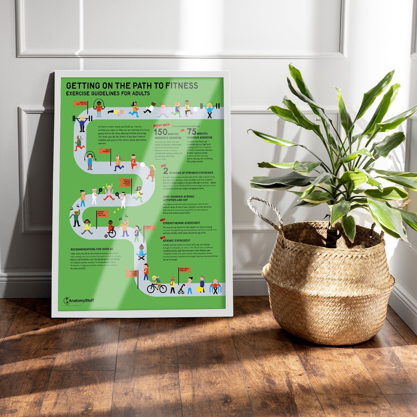 Exercise Guidelines for Adults Chart / Poster - Part of Collection