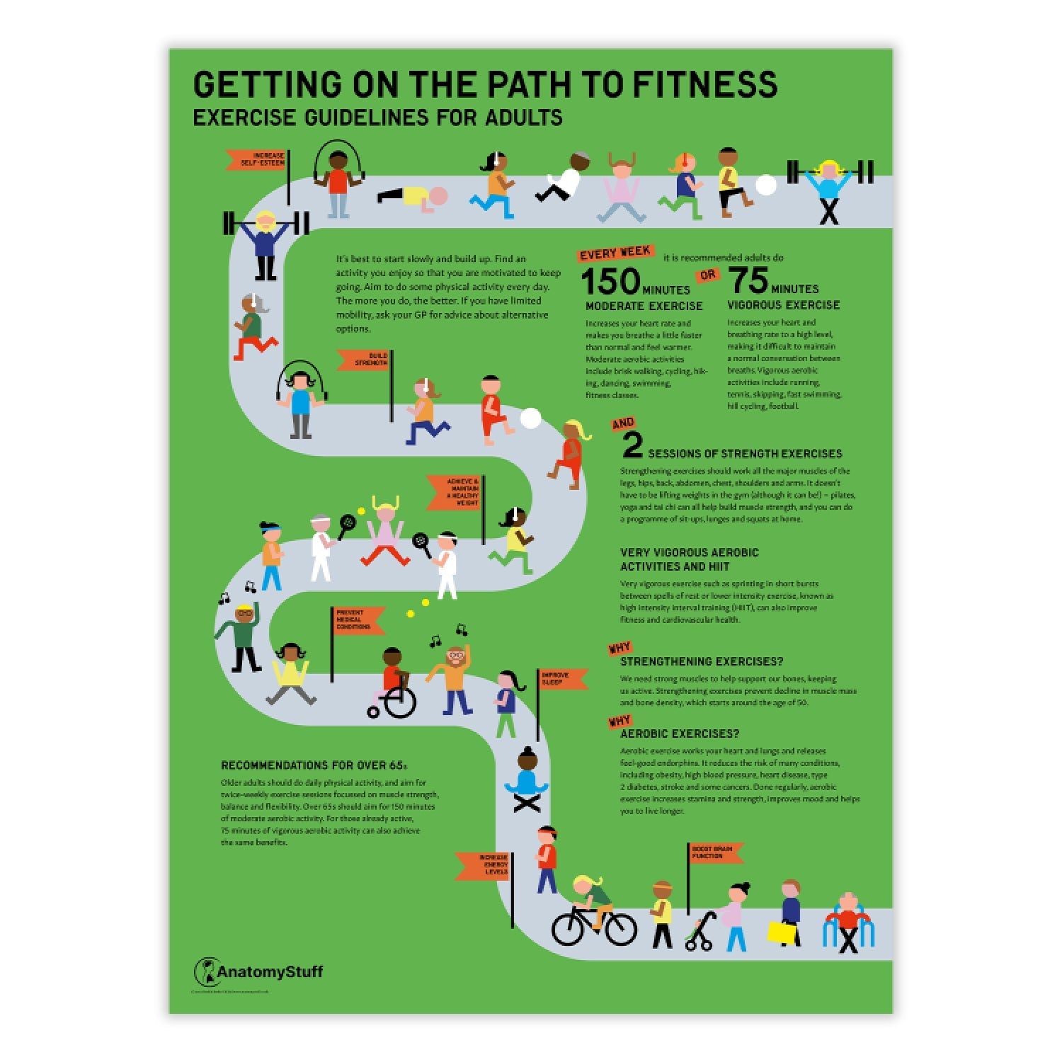 Exercise Guidelines for Adults Chart / Poster - Part of Collection