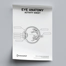Switch Eye Anatomy Activity Sheet PDF 2 image