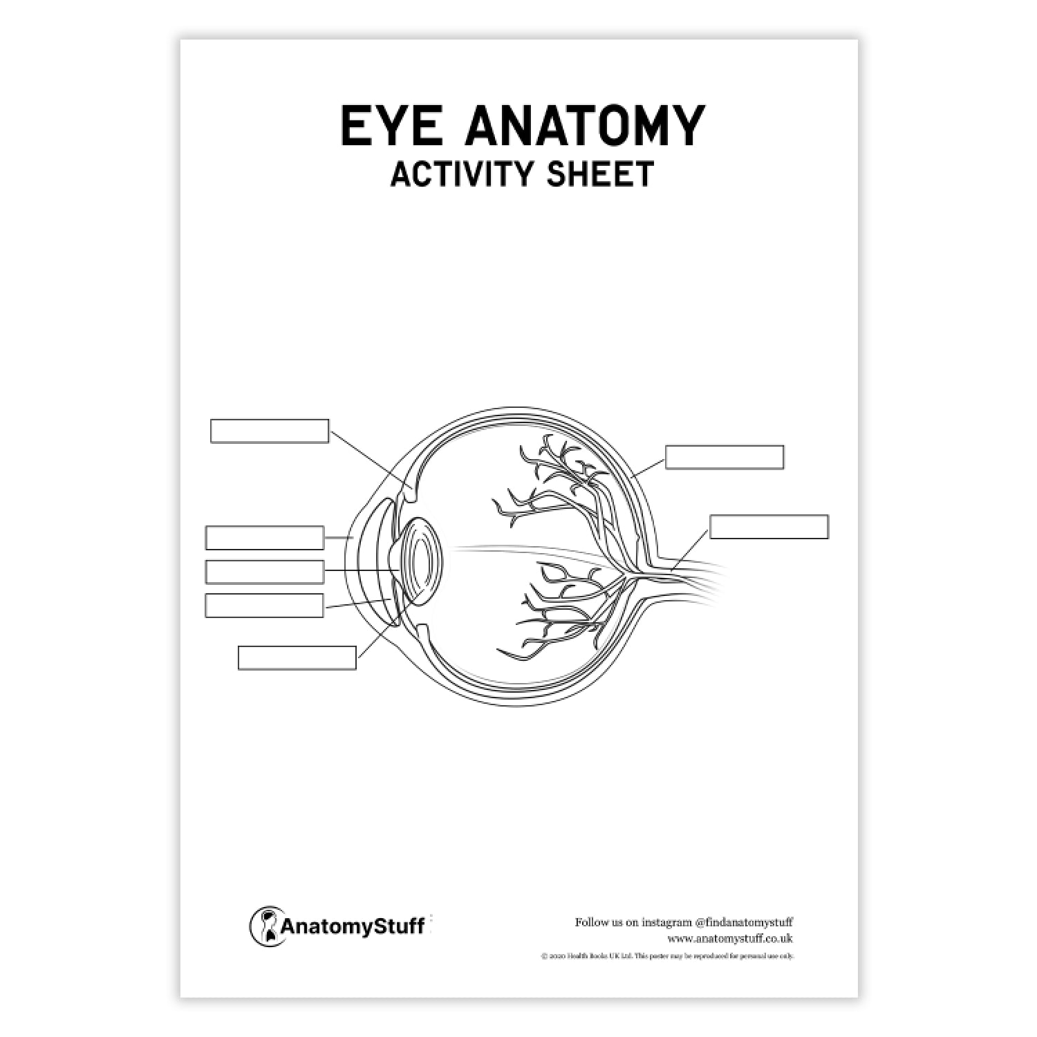 Eye Anatomy Worksheet Pdf How Vision Works: Eye Science Projects