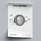 Switch Eye Anatomy Poster PDF 2 image