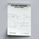 Switch Feline Anatomy Activity Sheet PDF 2 image