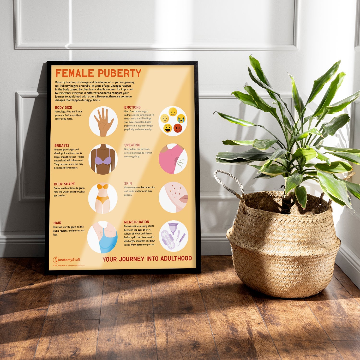 Female Puberty Chart / Poster - Part of Collection