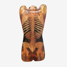 Switch Adult Female Torso for X-Ray CT, MRI CT-A02 image 2 2 image