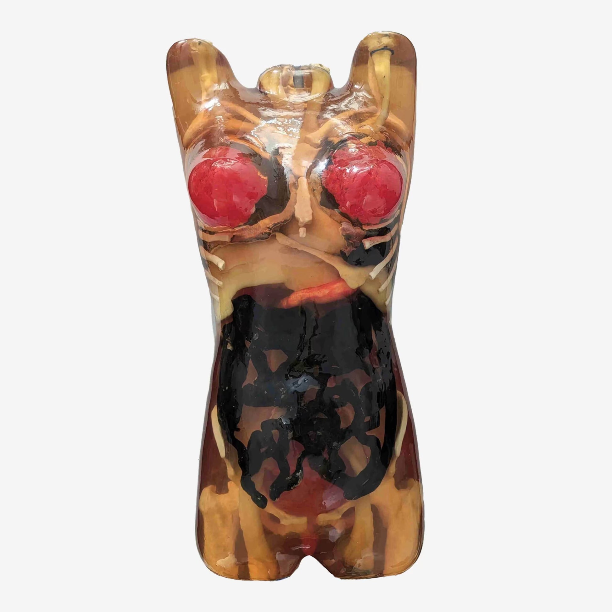 Adult Female Torso Phantom for X-Ray CT, MRI