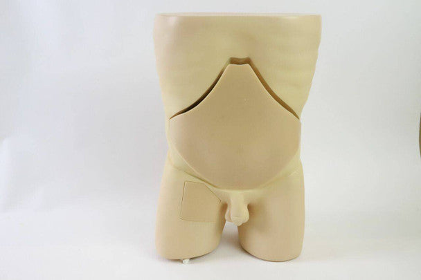 Femoral Arteriovenous Puncture and Abdominocentesis Ultrasound Training Model