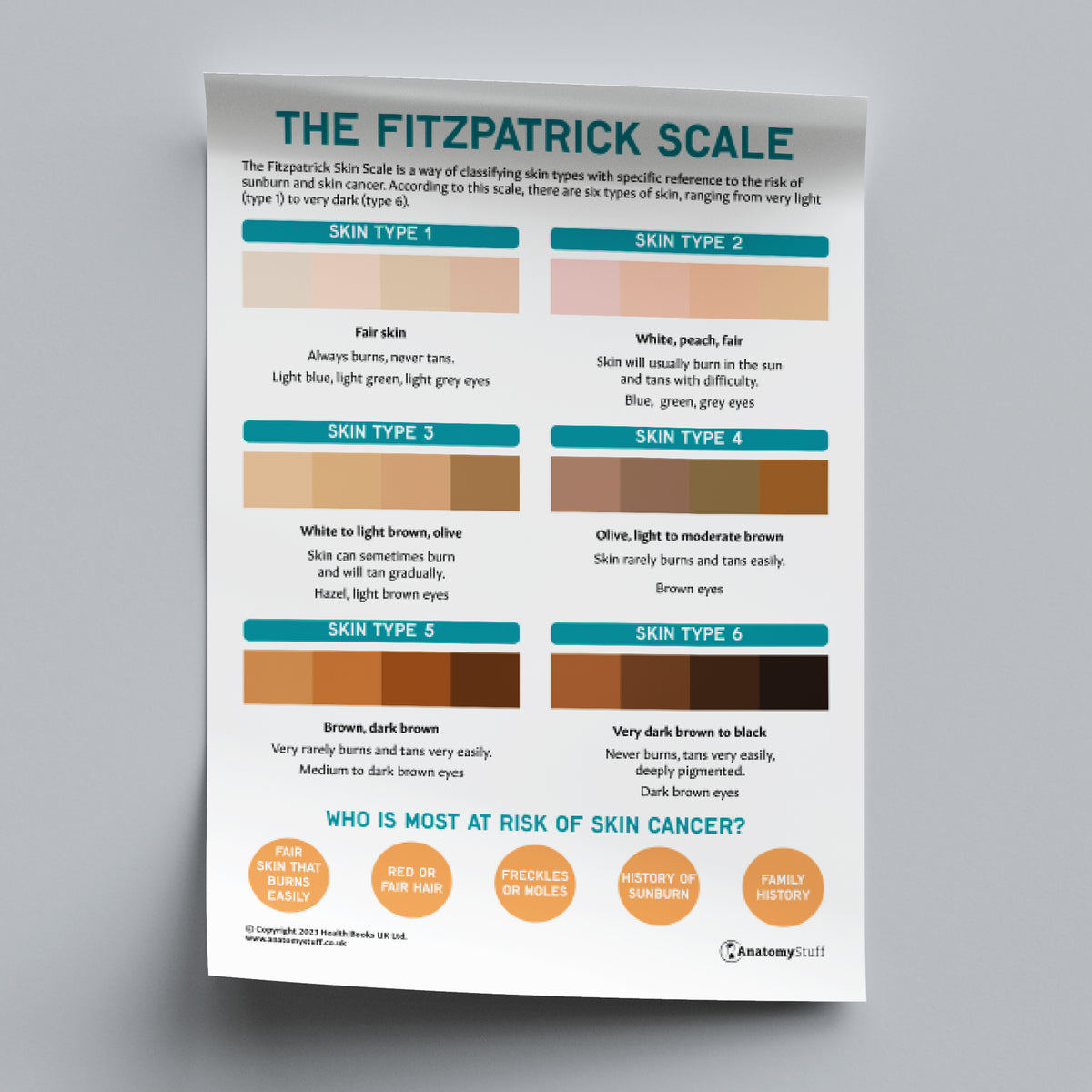 The Fitzpatrick Skin Cancer Scale (Printable PDF) | Cancer Awareness ...