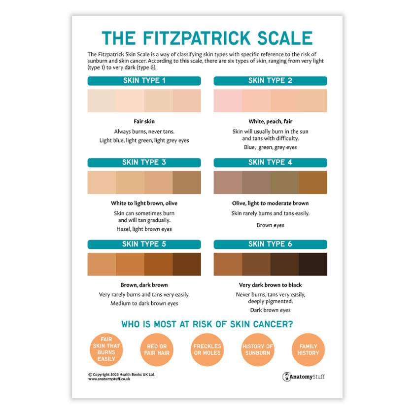 The Fitzpatrick Skin Cancer Scale (Printable PDF)