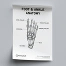Switch Foot &amp; Ankle Anatomy Poster PDF 2 image
