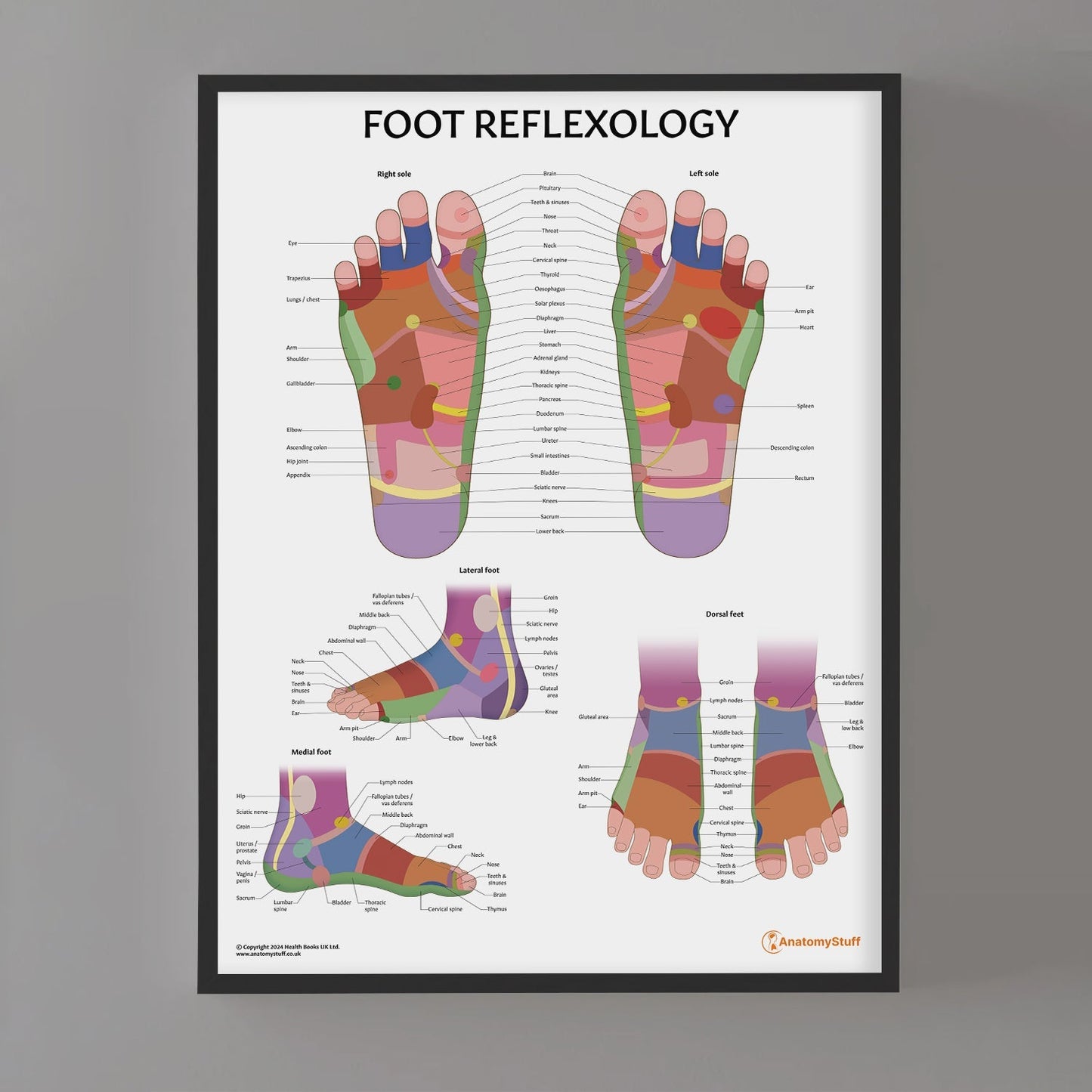 Foot Reflexology Chart / Poster - Part of Collection