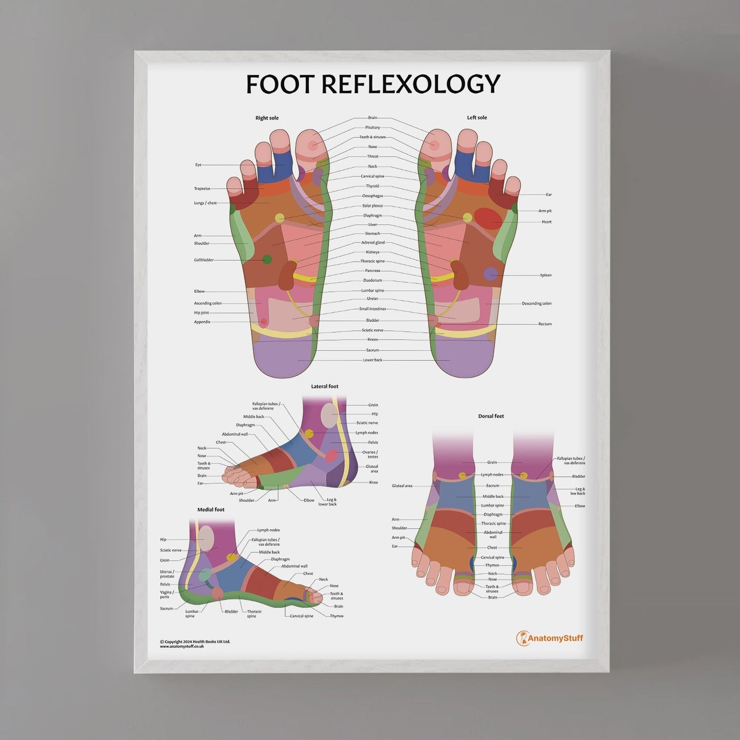 Foot Reflexology Chart / Poster - Part of Collection