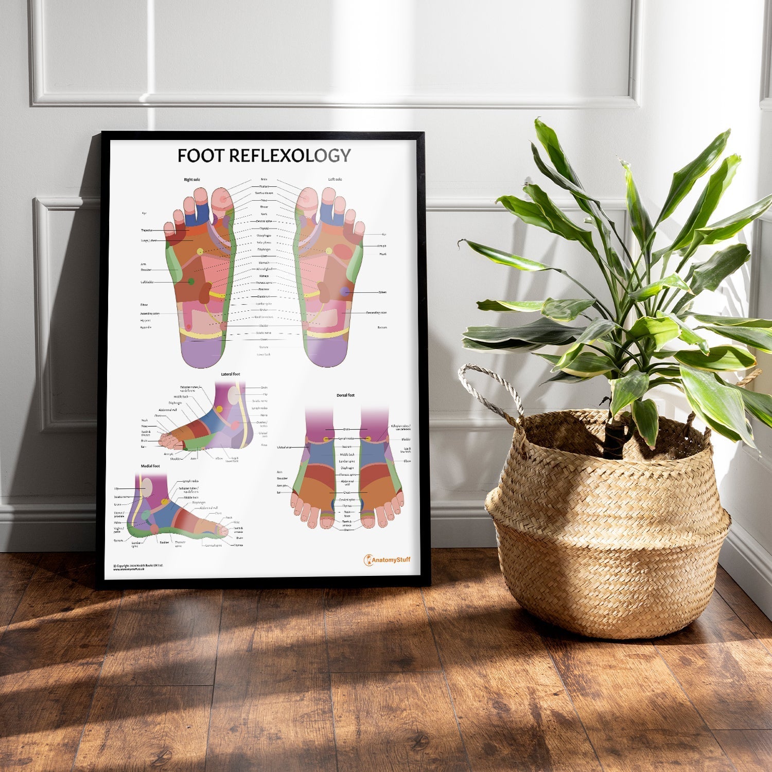 Foot Reflexology Chart / Poster - Part of Collection