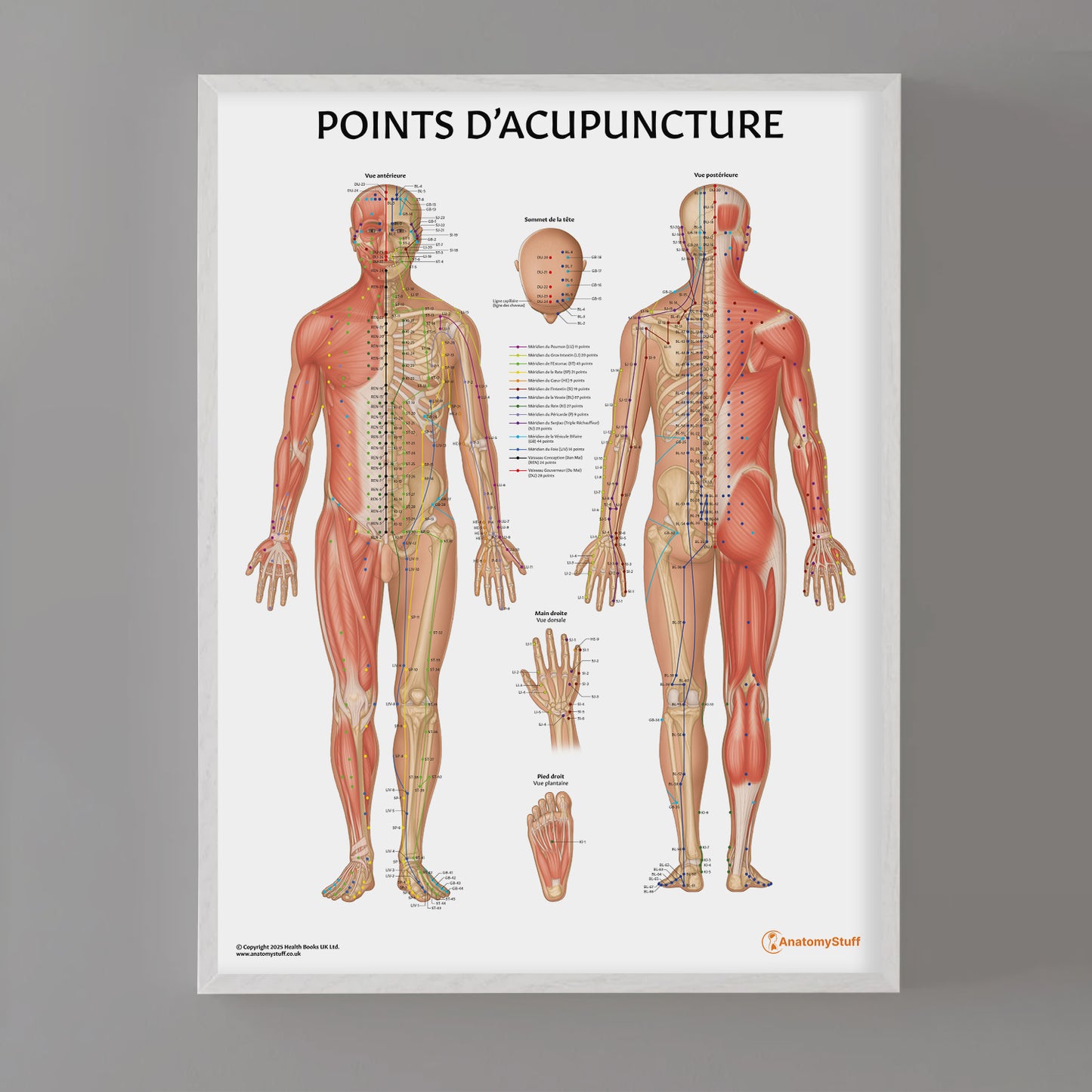 Points D'acupuncture Chart / Poster - French