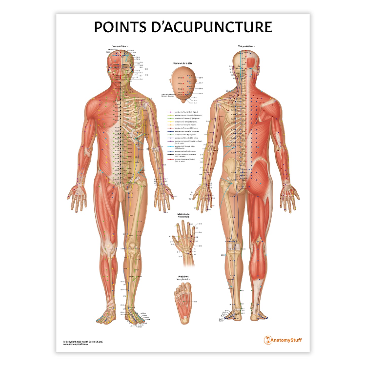 Points D'acupuncture Chart / Poster - French
