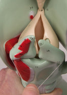 Switch Movable vocal cords of the giant functional larynx model 3 image