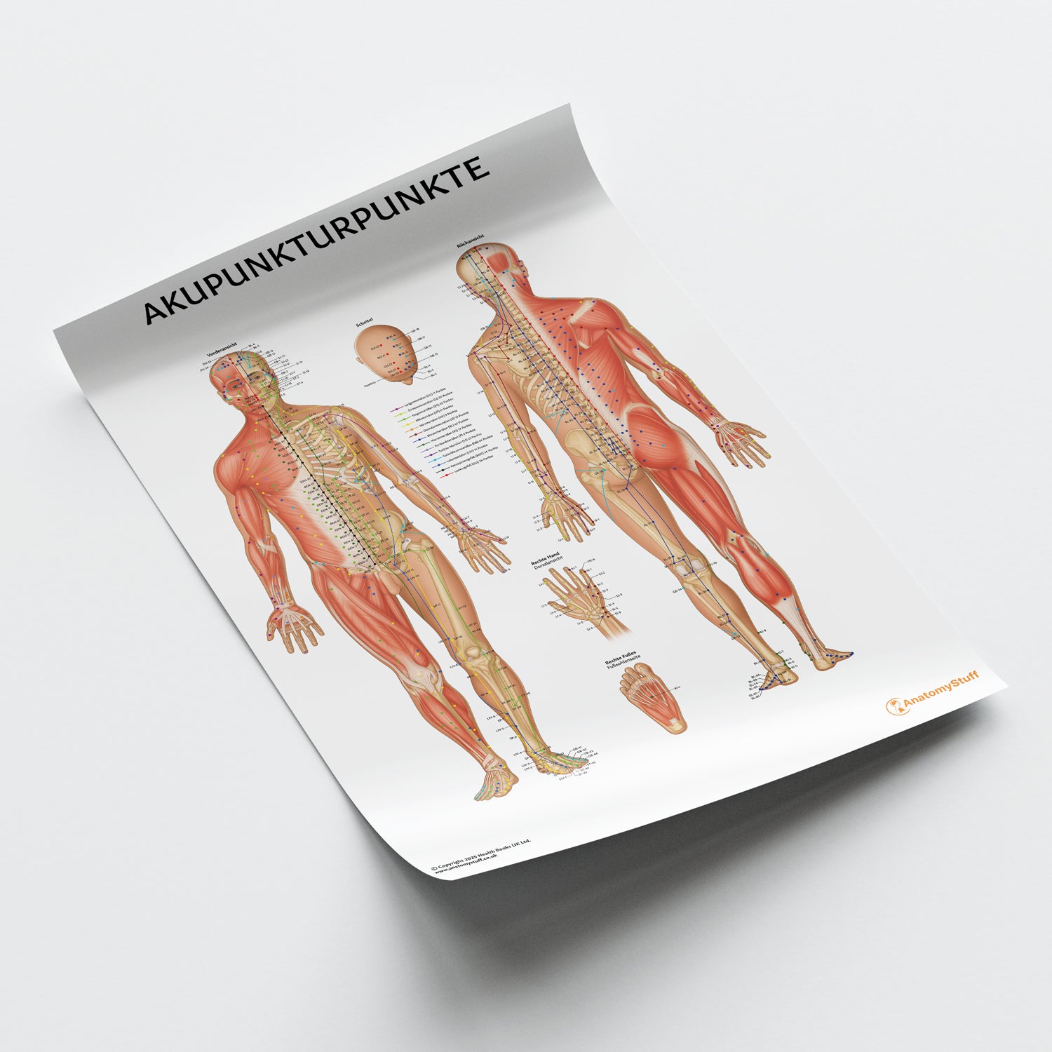 Akupunkturpunkte Chart / Poster - German