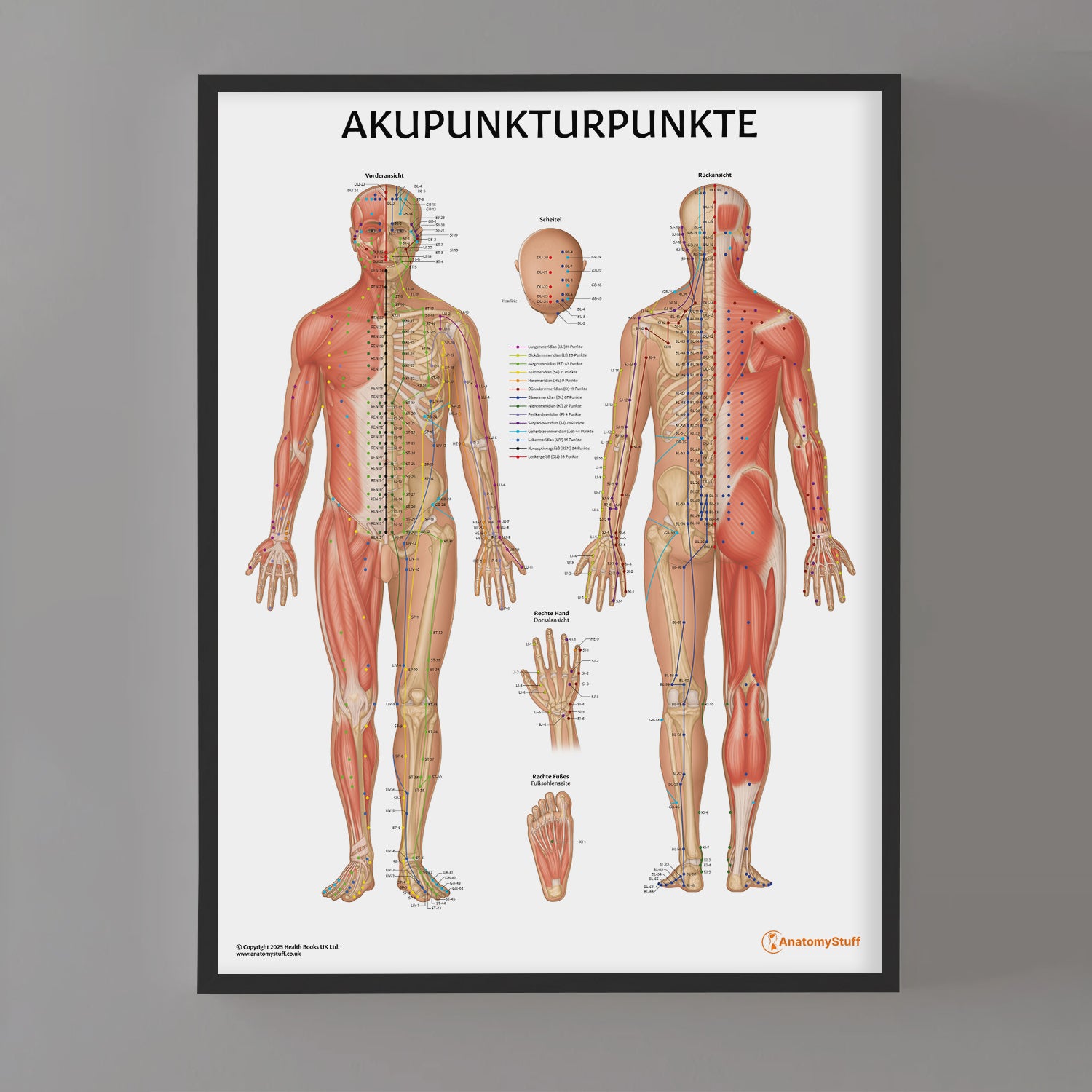 Akupunkturpunkte Chart / Poster - German