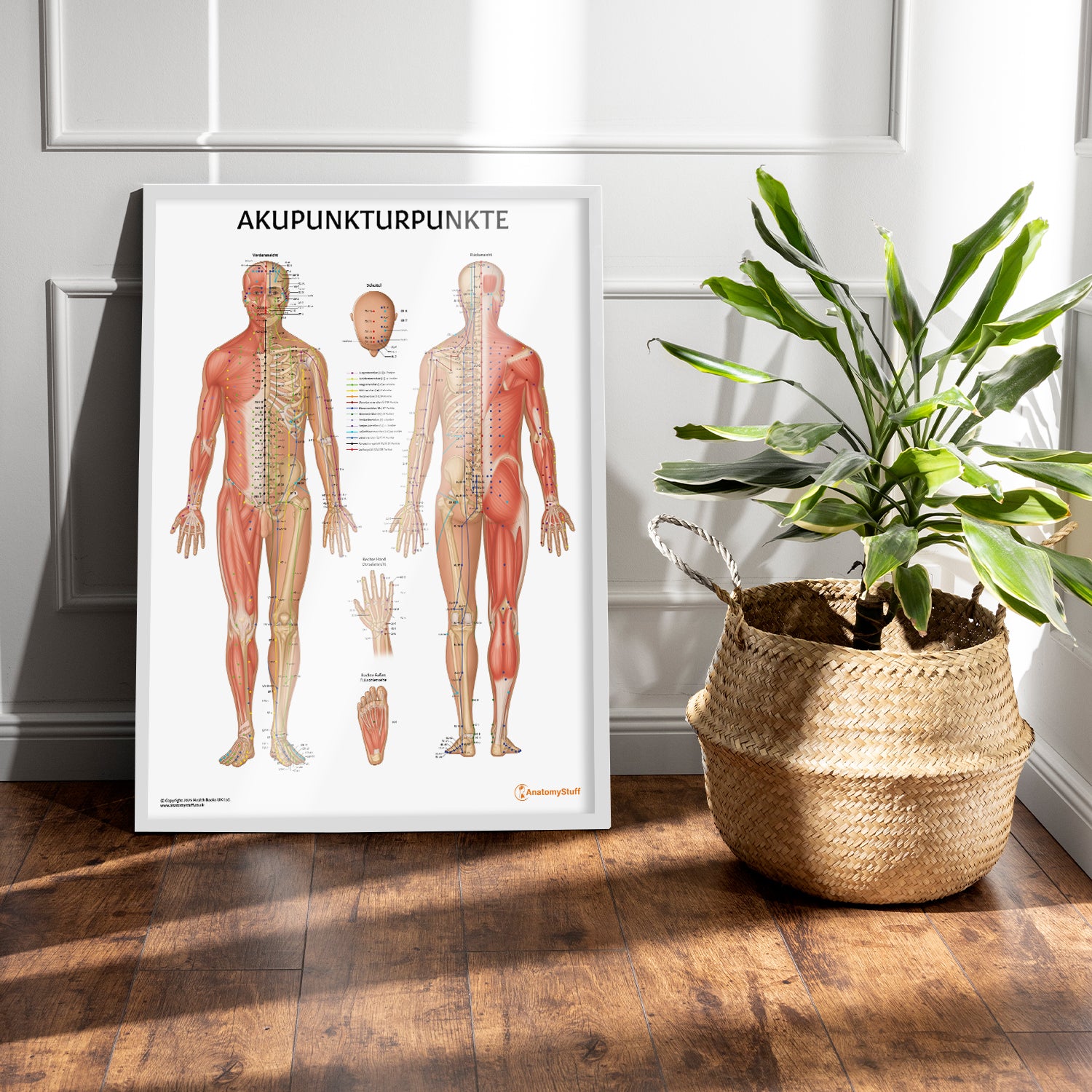 Akupunkturpunkte Chart / Poster - German