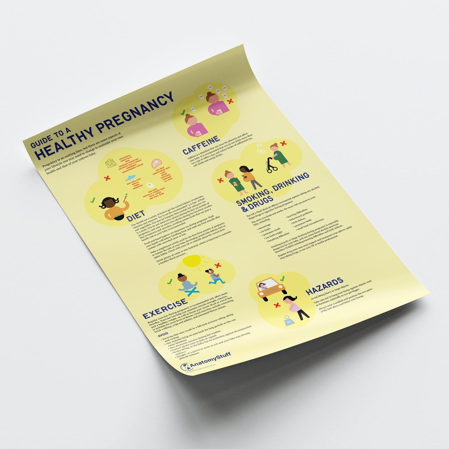 Guide to a Healthy Pregnancy Chart / Poster - Part of Collection