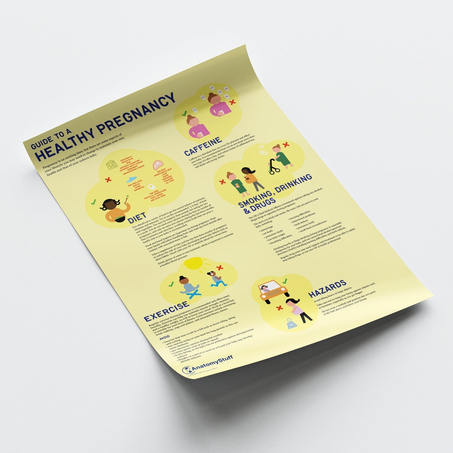 Guide to a Healthy Pregnancy Chart / Poster - Part of Collection