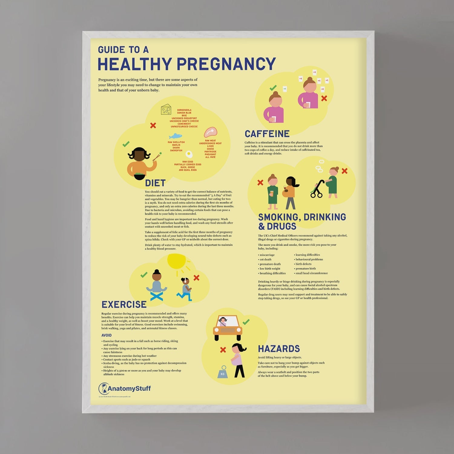 Guide to a Healthy Pregnancy Chart / Poster - Part of Collection