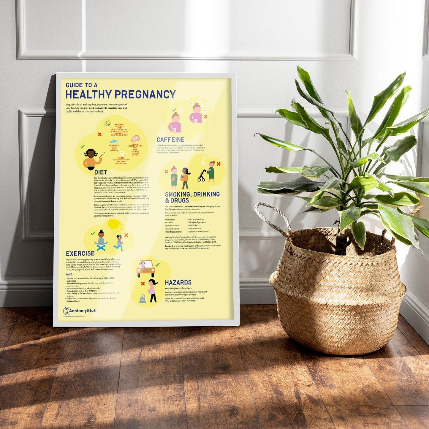 Guide to a Healthy Pregnancy Chart / Poster - Part of Collection