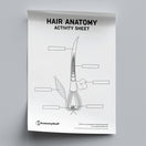 Switch Hair Anatomy Activity Sheet PDF 2 image