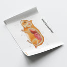 Switch Hamster Anatomy Chart / Poster 3 image
