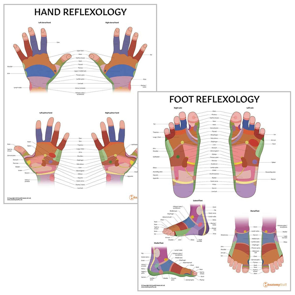 Reflexology 2 Poster Collection (Laminated)
