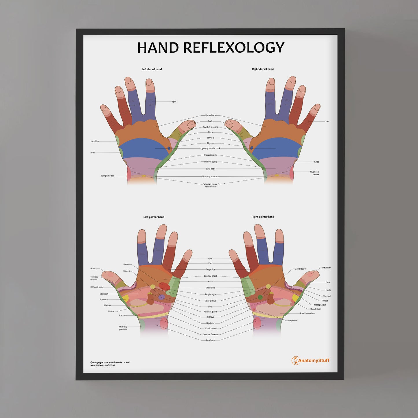 Hand Reflexology Chart / Poster