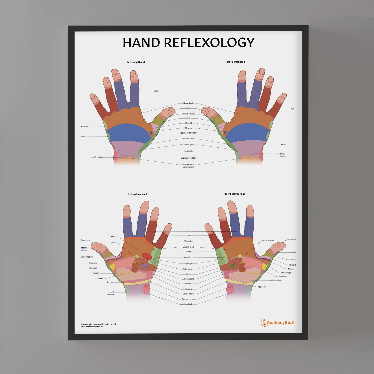 Hand Reflexology Chart / Poster