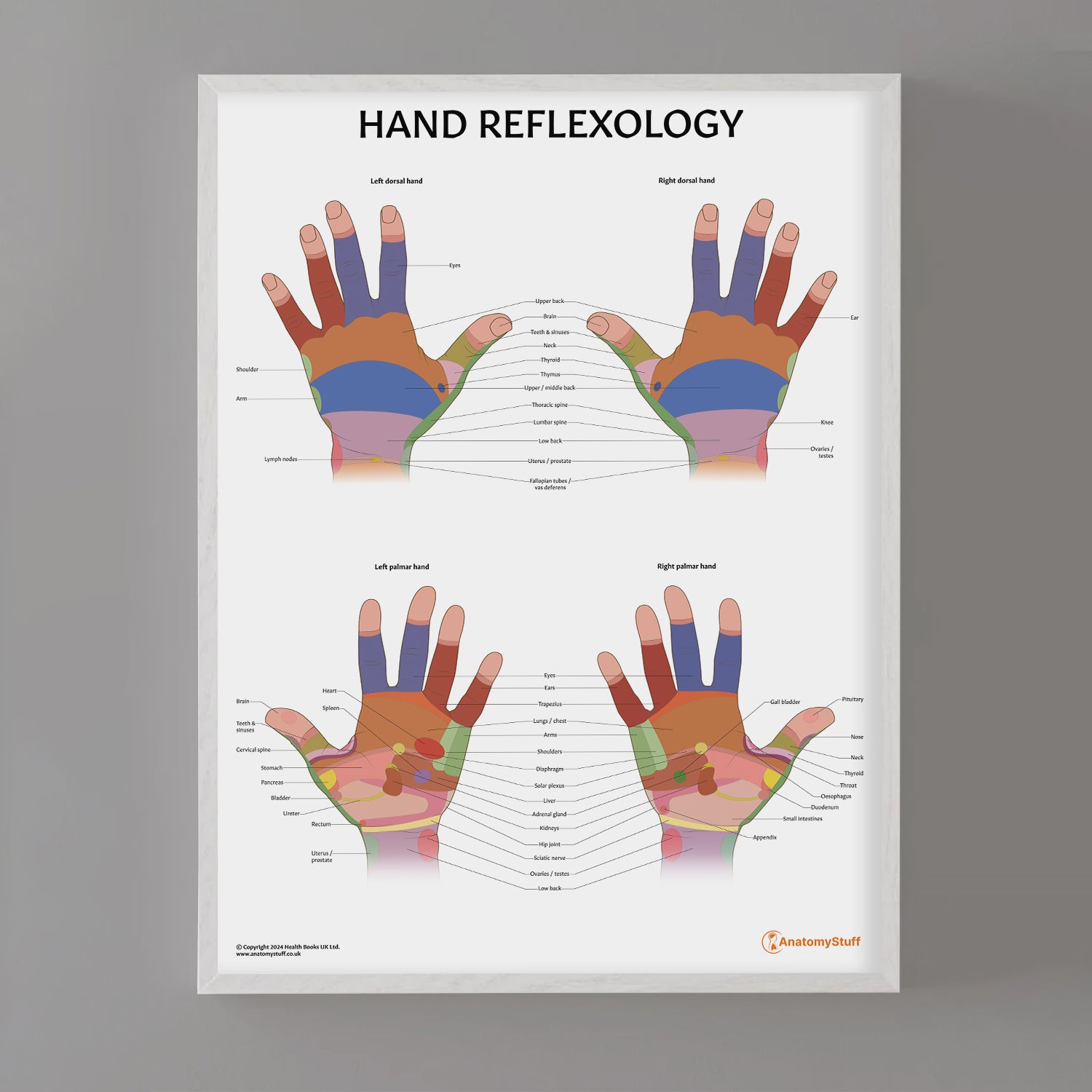 Hand Reflexology Chart / Poster