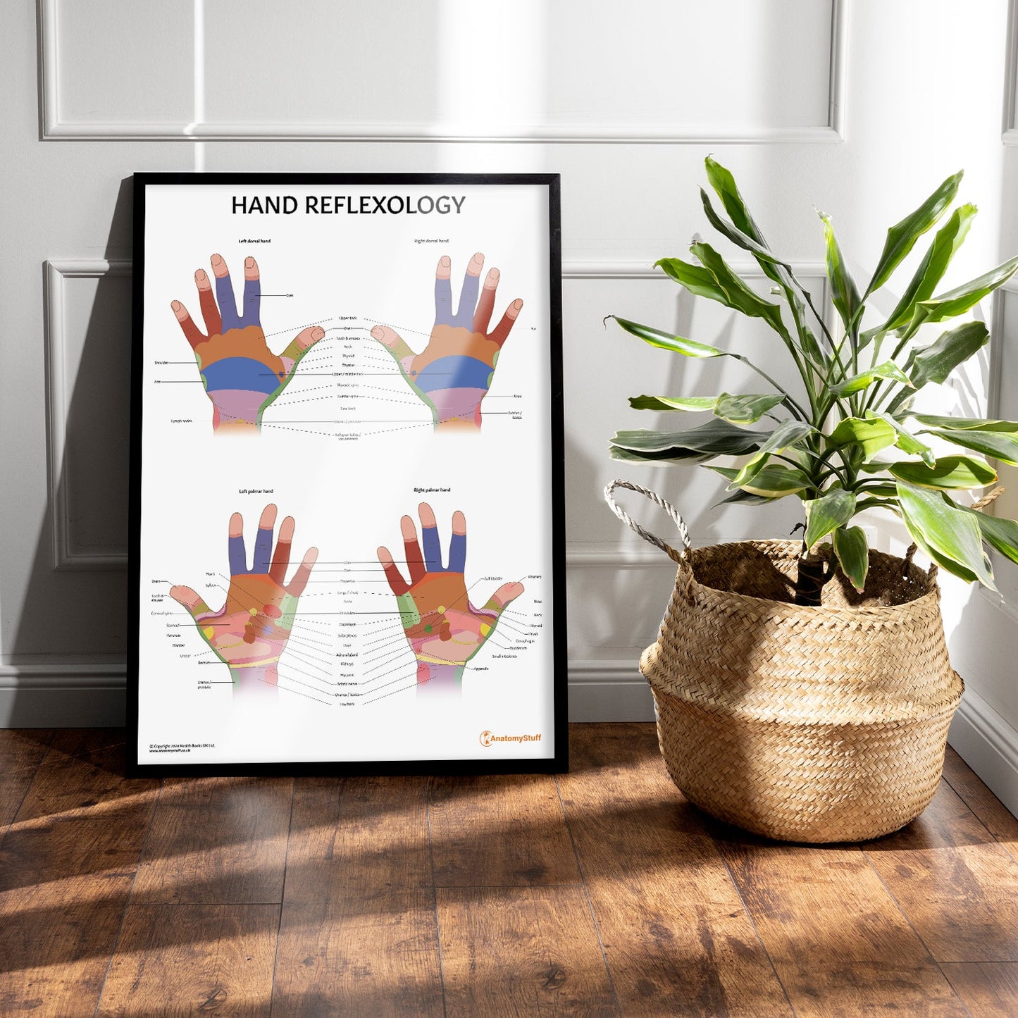 Hand Reflexology Chart / Poster - Part of Collection